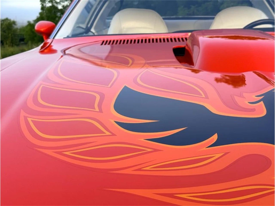 1976 Pontiac Firebird Trans Am 2nd Gen - Image 22 of 31