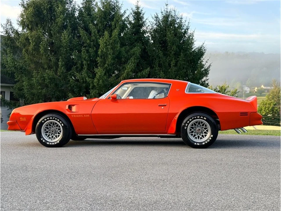 1976 Pontiac Firebird Trans Am 2nd Gen - Image 8 of 31
