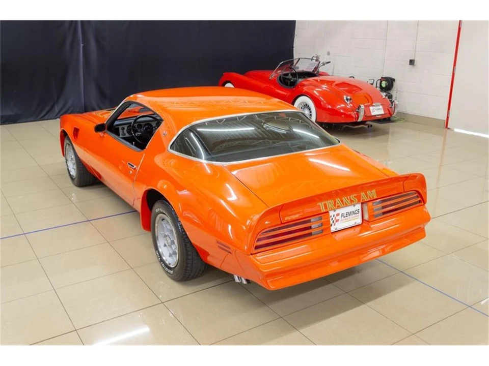 1976 Pontiac Firebird Trans Am 2nd Gen - Image 9 of 31