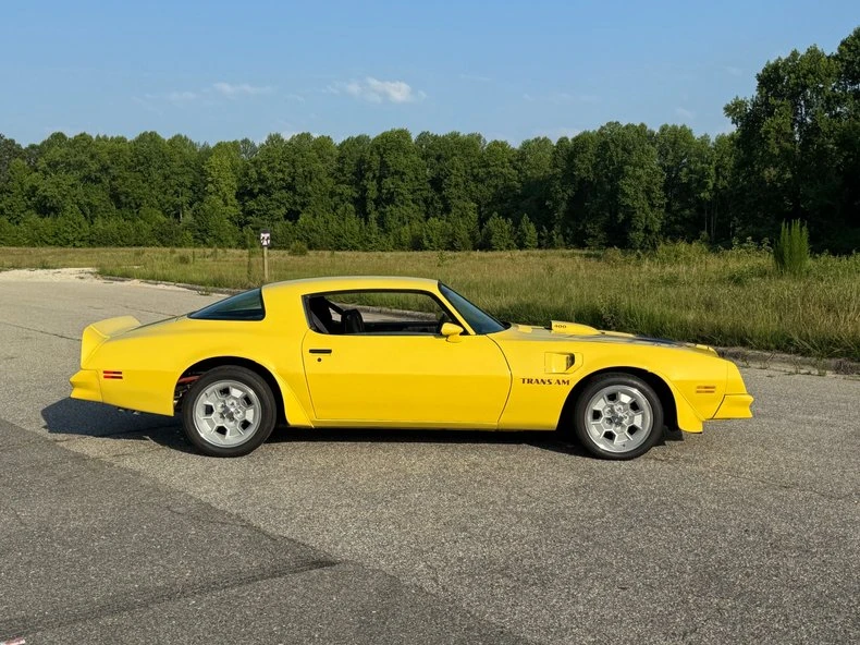 1976 Pontiac Firebird Trans Am 2nd Gen - Image 9 of 24