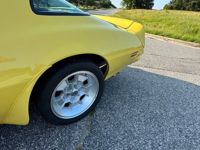 1976 Pontiac Firebird Trans Am 2nd Gen - Image 12 of 24