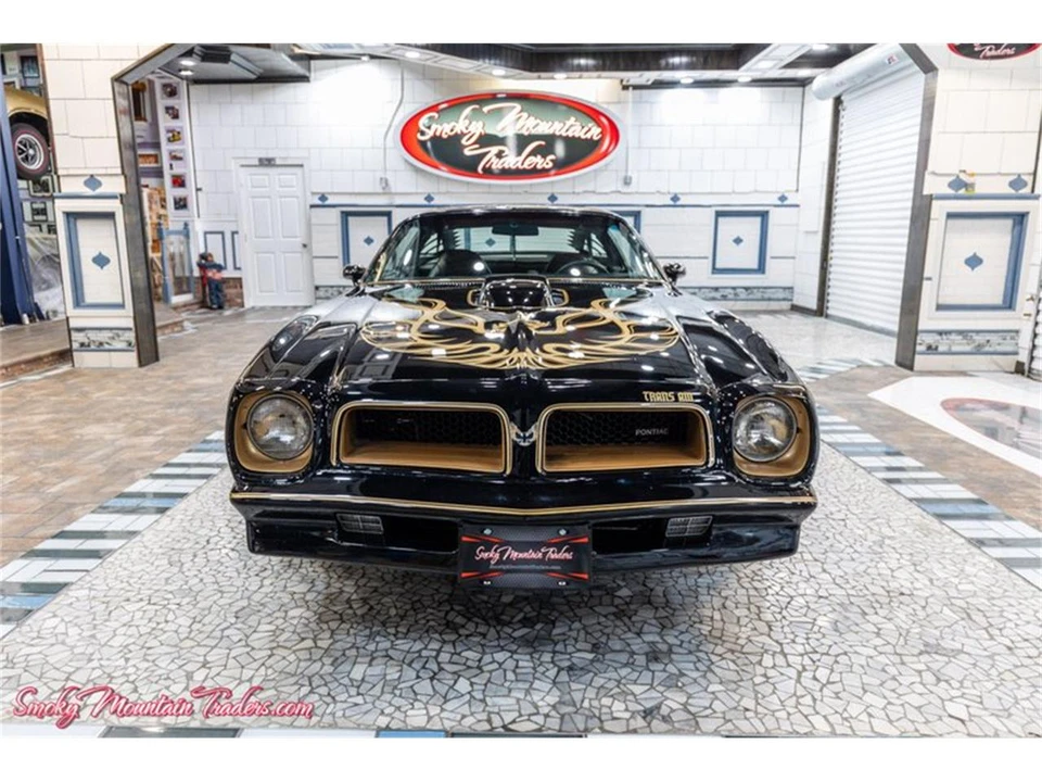 1976 Pontiac Firebird Trans Am 2nd Gen - Image 10 of 31