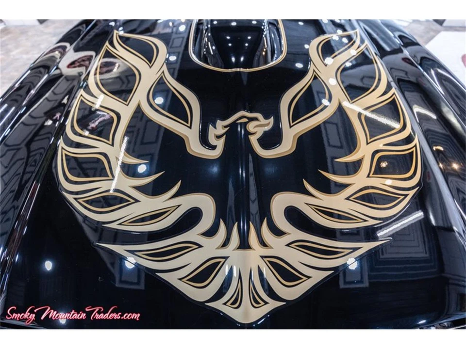 1976 Pontiac Firebird Trans Am 2nd Gen - Image 14 of 31