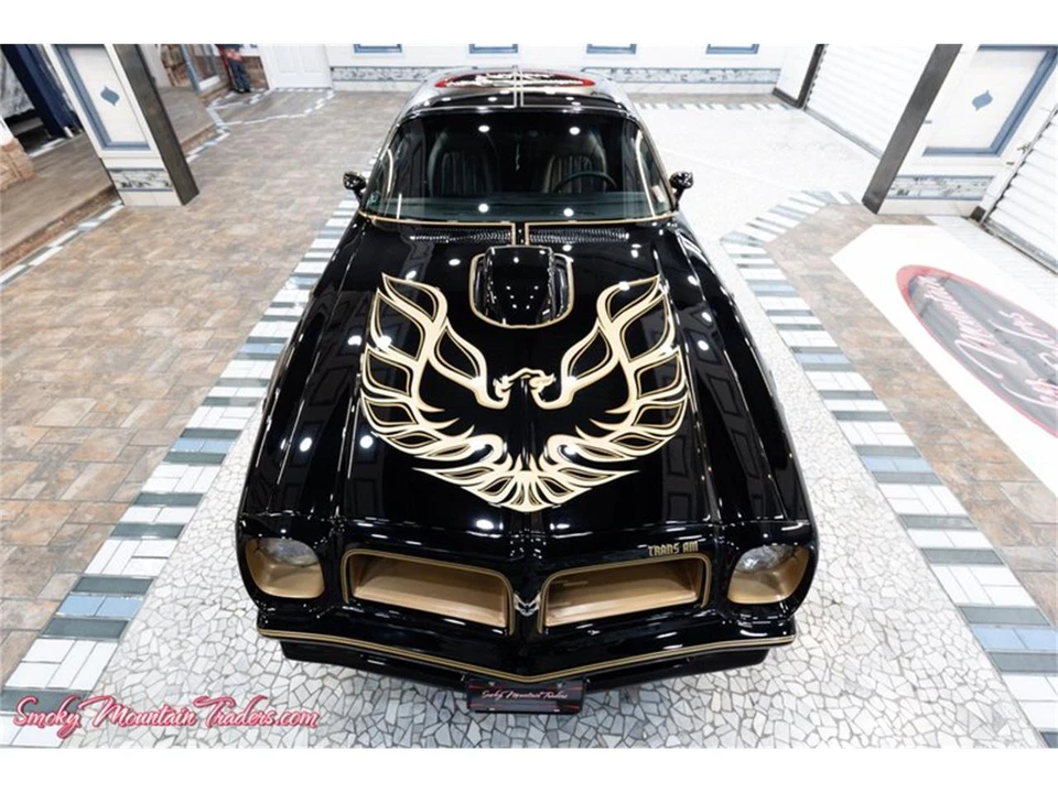 1976 Pontiac Firebird Trans Am 2nd Gen - Image 11 of 31