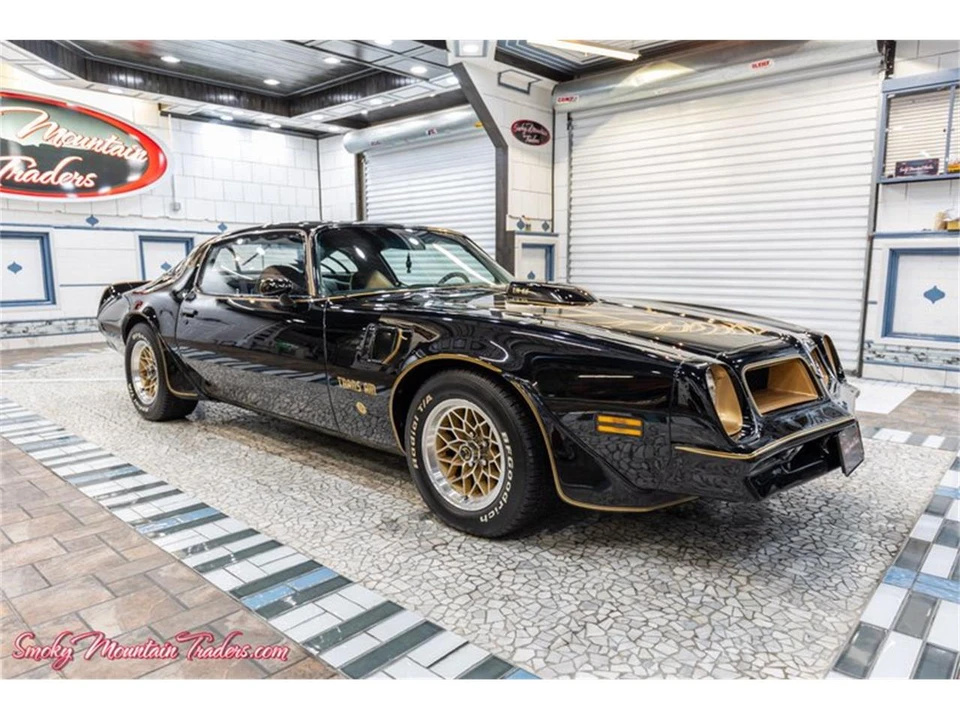 1976 Pontiac Firebird Trans Am 2nd Gen - Image 15 of 31