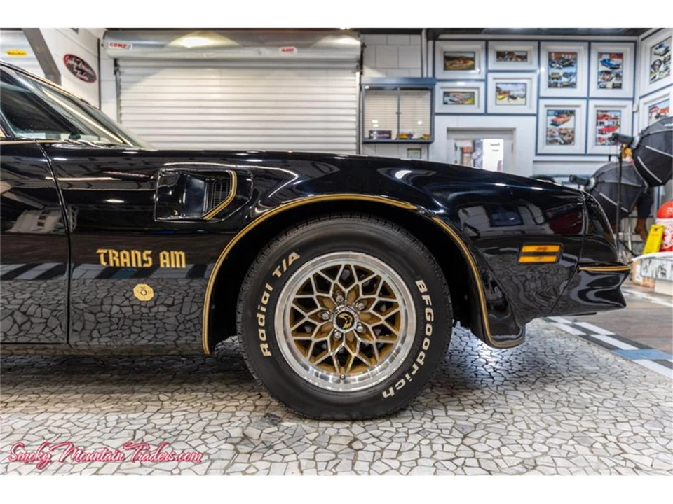 1976 Pontiac Firebird Trans Am 2nd Gen - Image 19 of 31