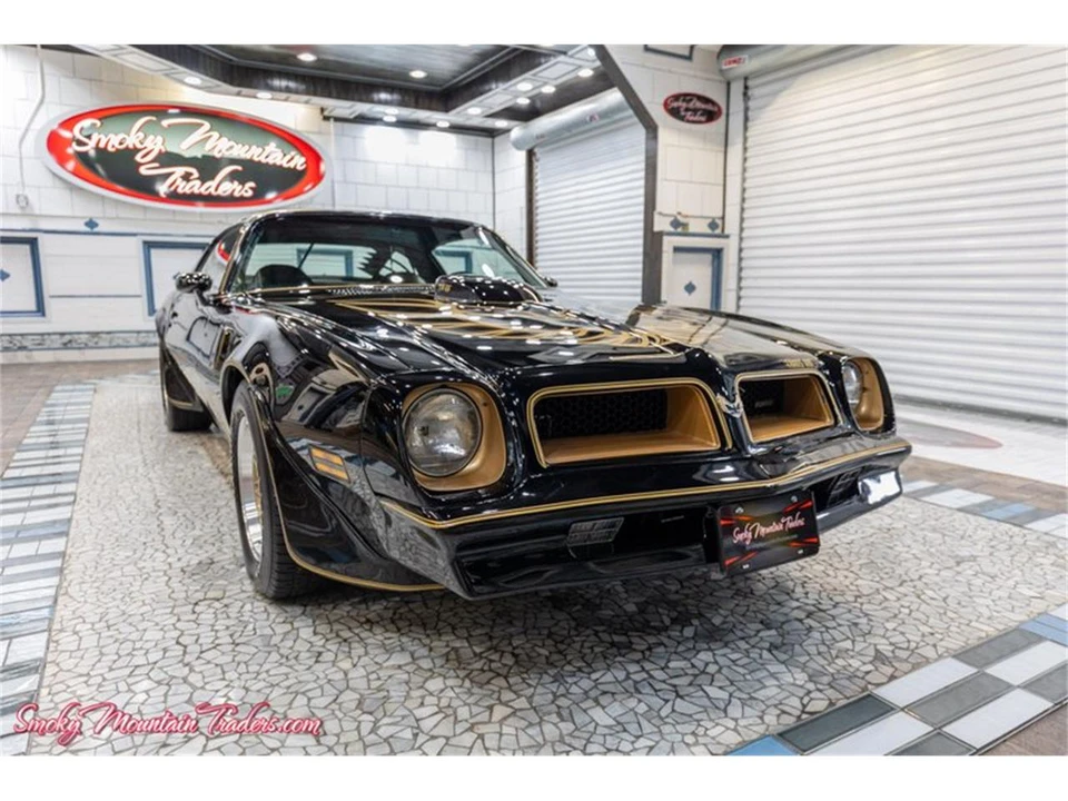 1976 Pontiac Firebird Trans Am 2nd Gen - Image 16 of 31