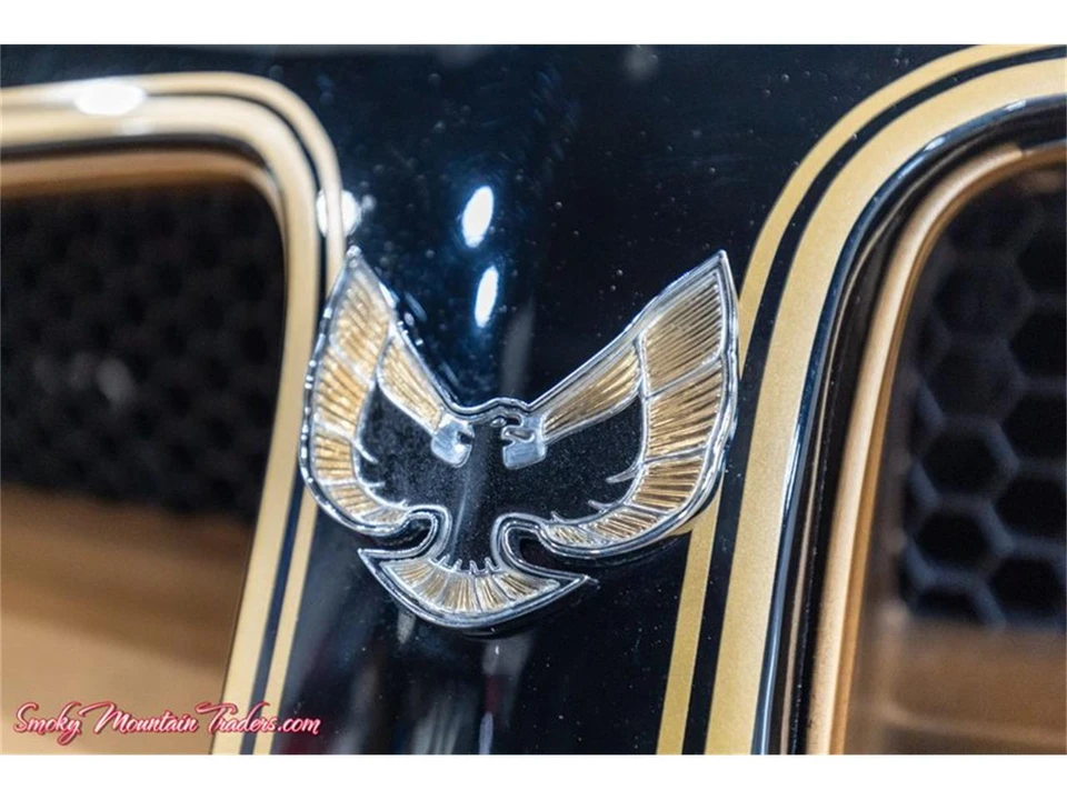 1976 Pontiac Firebird Trans Am 2nd Gen - Image 12 of 31