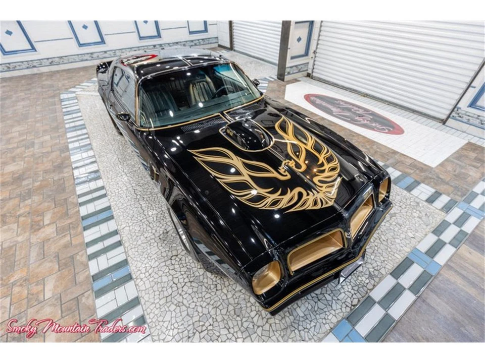 1976 Pontiac Firebird Trans Am 2nd Gen - Image 17 of 31