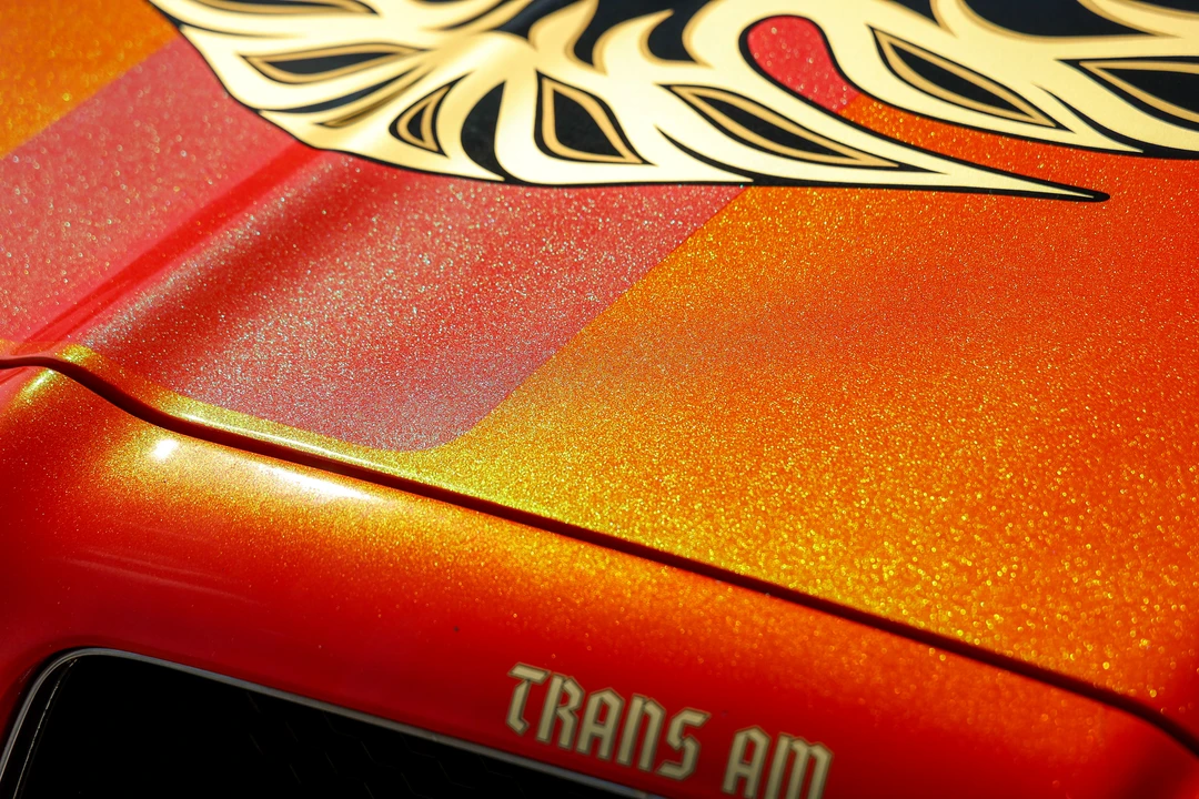 1976 Pontiac Firebird Trans Am 2nd Gen - Image 29 of 31