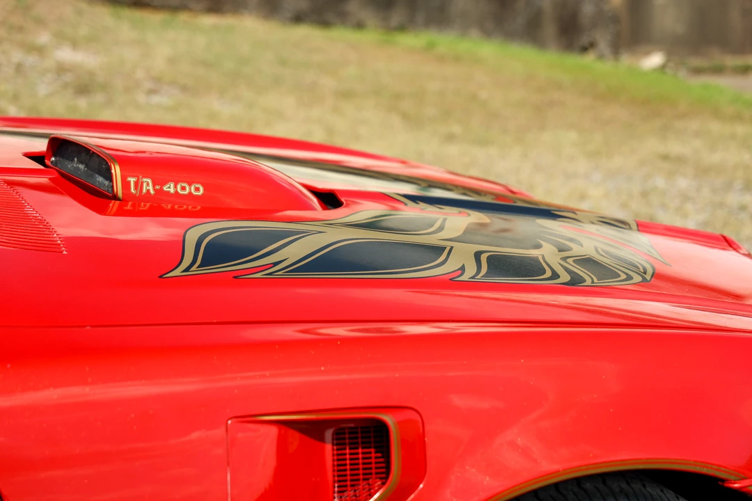 1976 Pontiac Firebird Trans Am 2nd Gen - Image 19 of 31