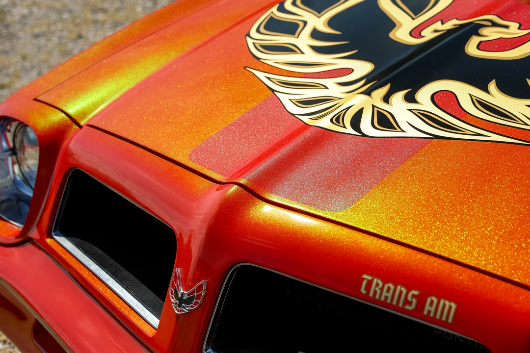 1976 Pontiac Firebird Trans Am 2nd Gen - Image 30 of 31
