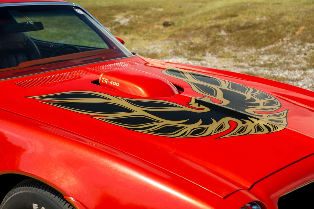 1976 Pontiac Firebird Trans Am 2nd Gen - Image 23 of 31