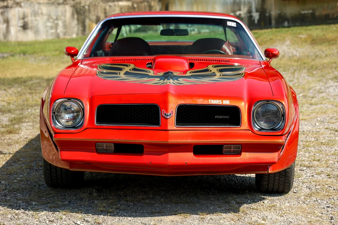 1976 Pontiac Firebird Trans Am 2nd Gen - Image 8 of 31