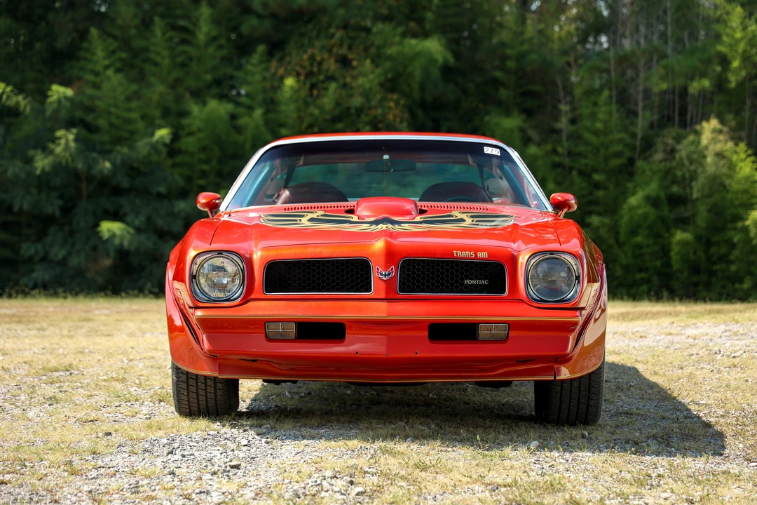 1976 Pontiac Firebird Trans Am 2nd Gen - Image 2 of 31
