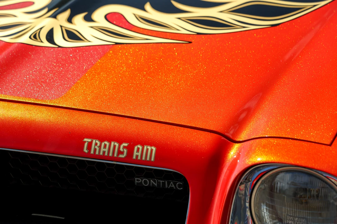 1976 Pontiac Firebird Trans Am 2nd Gen - Image 28 of 31