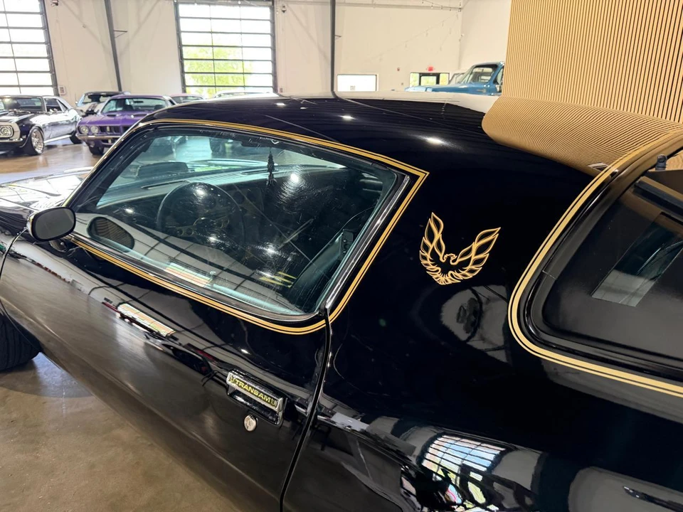 1976 Pontiac Firebird Trans Am 2nd Gen - Image 14 of 31