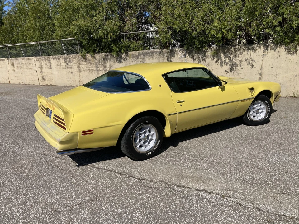 1976 Pontiac Firebird Trans Am 2nd Gen - Image 19 of 31