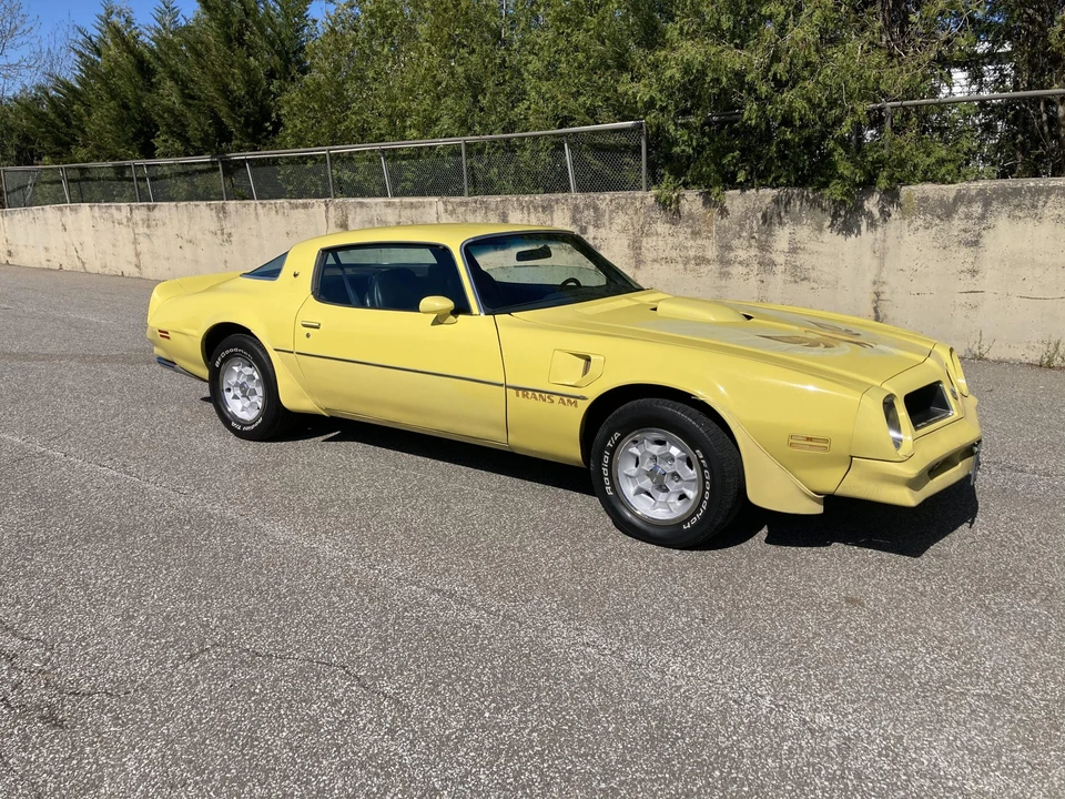 1976 Pontiac Firebird Trans Am 2nd Gen - Image 24 of 31