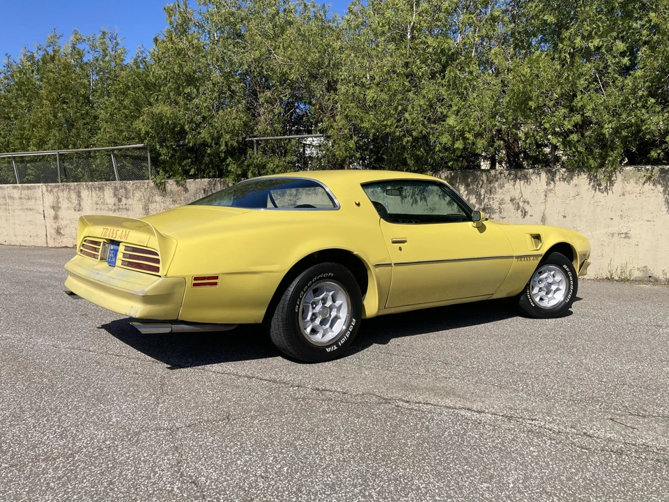 1976 Pontiac Firebird Trans Am 2nd Gen - Image 18 of 31