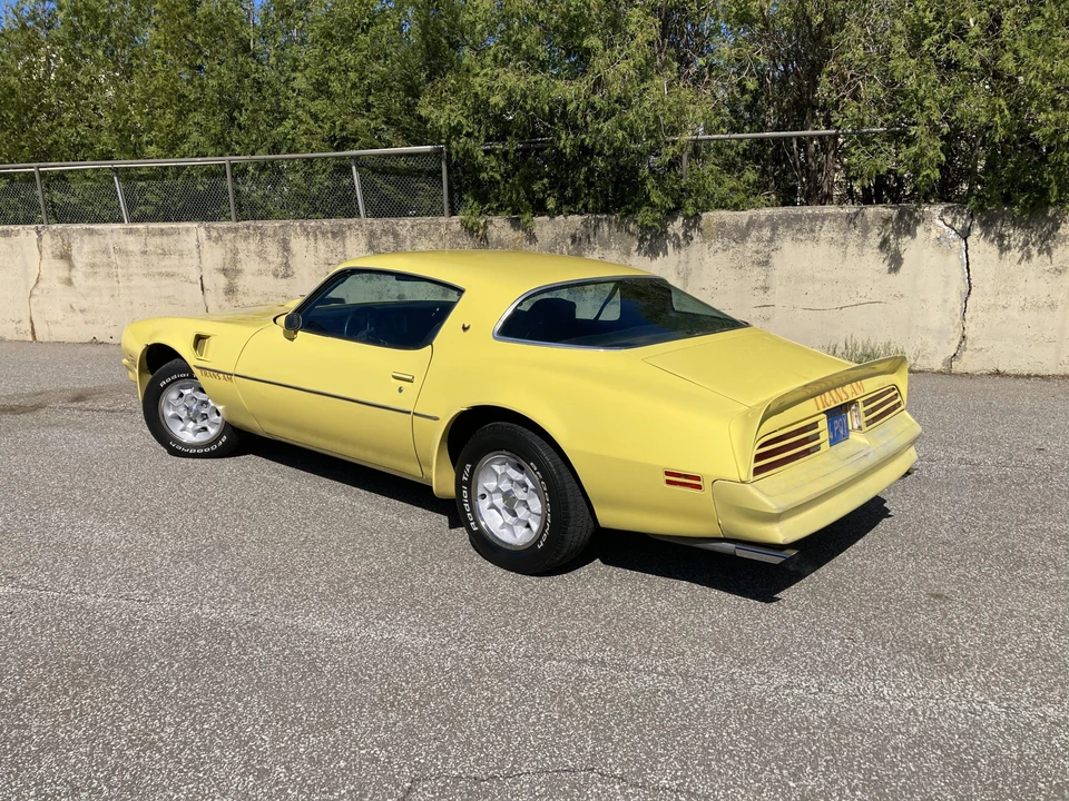 1976 Pontiac Firebird Trans Am 2nd Gen - Image 12 of 31