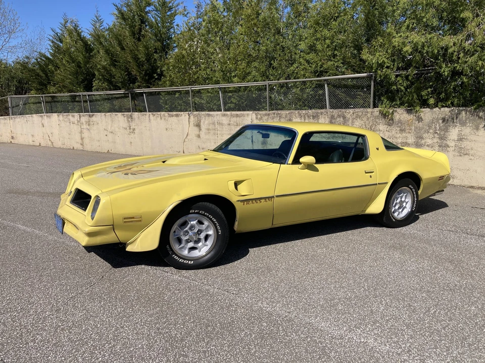 1976 Pontiac Firebird Trans Am 2nd Gen - Image 8 of 31