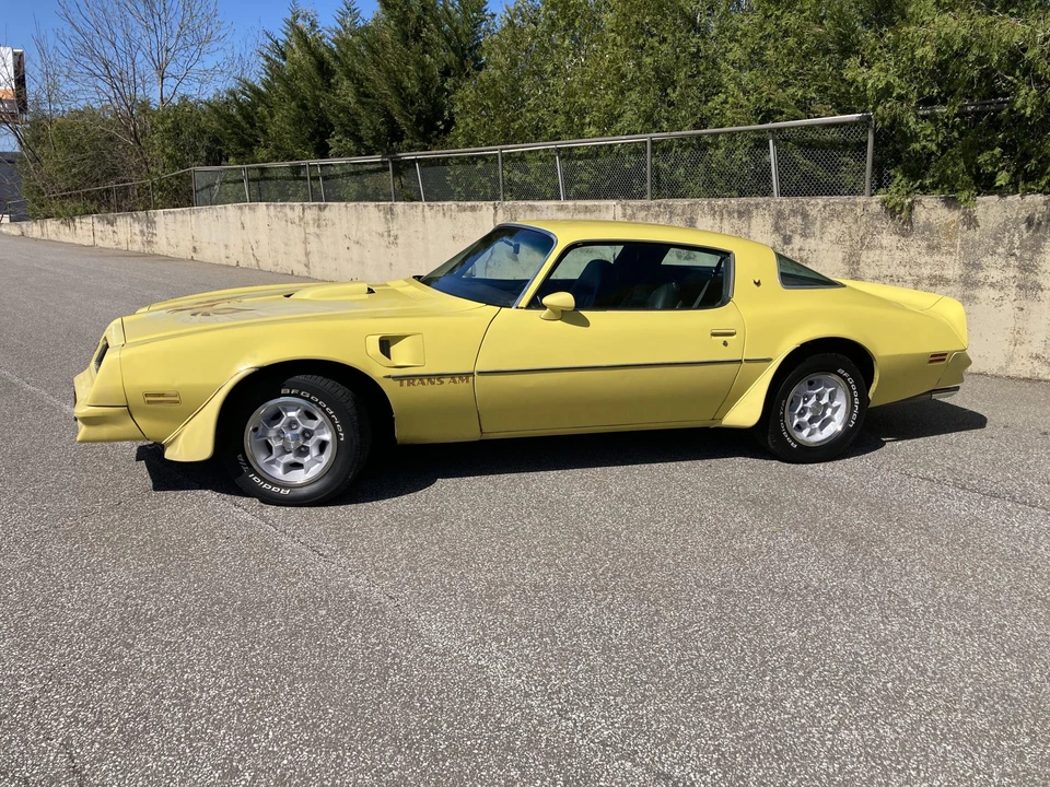 1976 Pontiac Firebird Trans Am 2nd Gen - Image 11 of 31