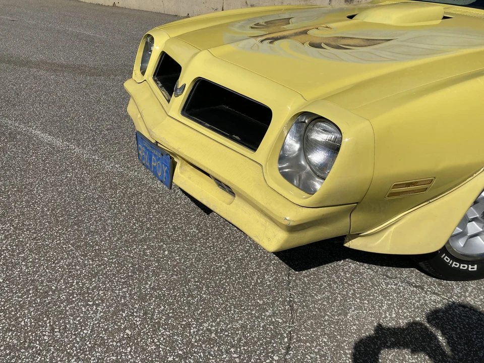 1976 Pontiac Firebird Trans Am 2nd Gen - Image 29 of 31