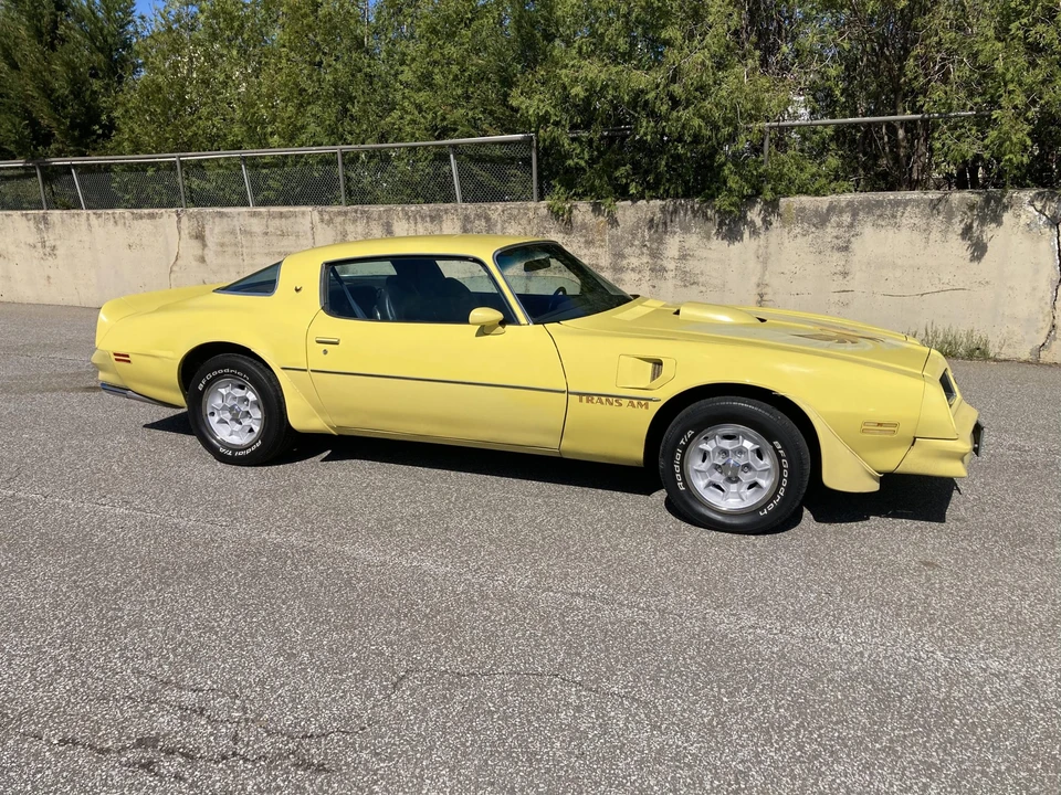 1976 Pontiac Firebird Trans Am 2nd Gen - Image 22 of 31