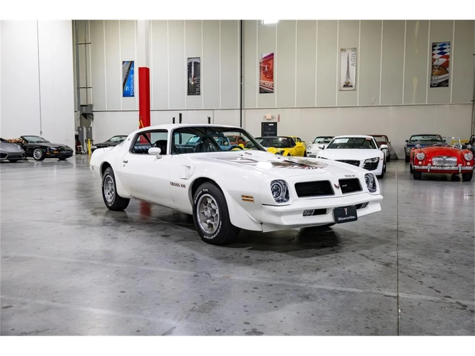 1976 Pontiac Firebird Trans Am 2nd Gen - Image 8 of 31
