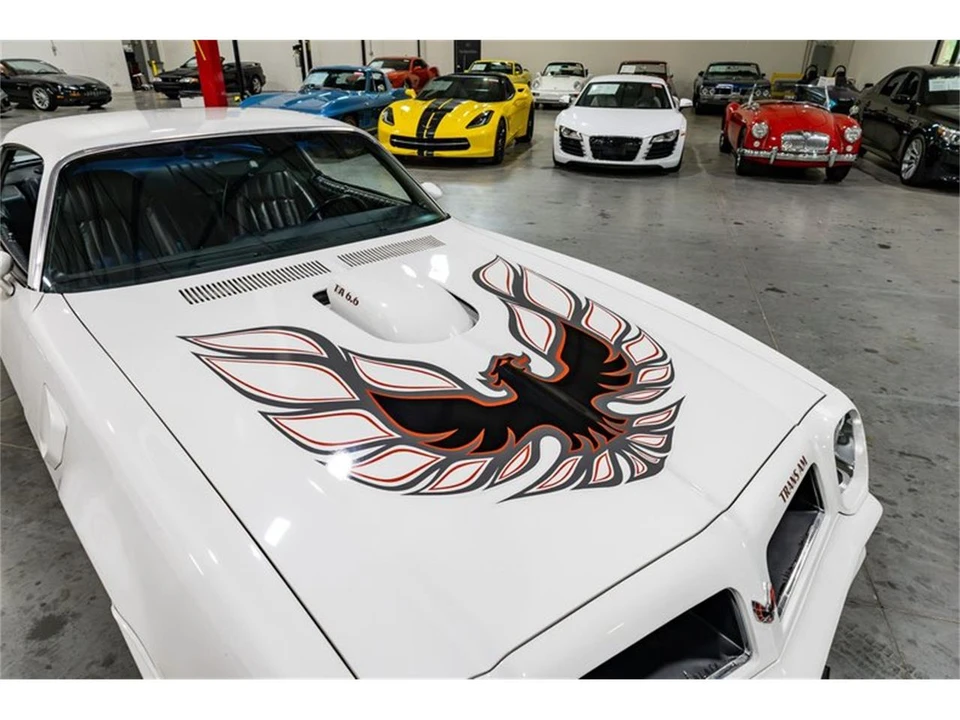 1976 Pontiac Firebird Trans Am 2nd Gen - Image 18 of 31