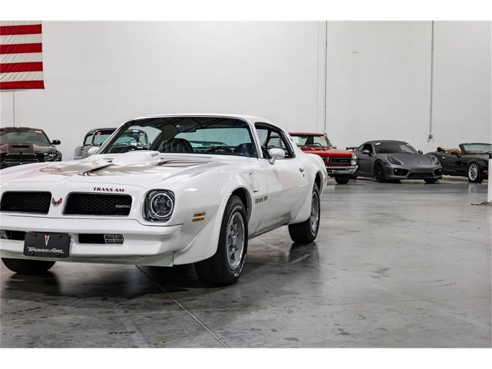 1976 Pontiac Firebird Trans Am 2nd Gen - Image 29 of 31
