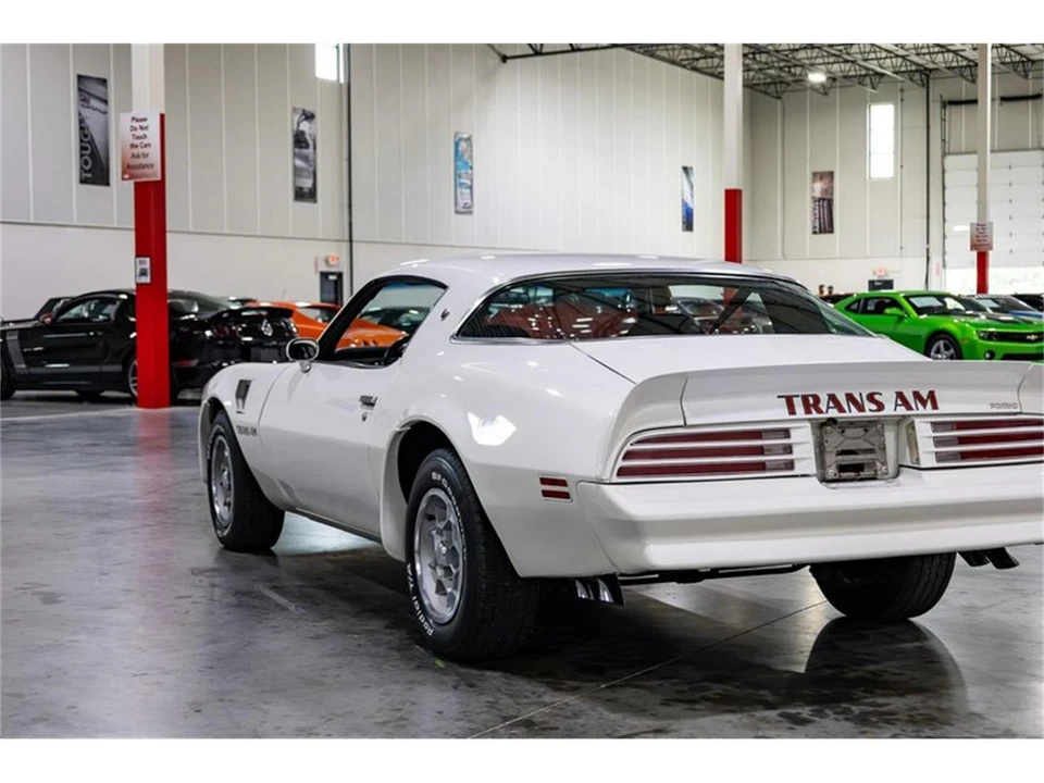 1976 Pontiac Firebird Trans Am 2nd Gen - Image 30 of 31