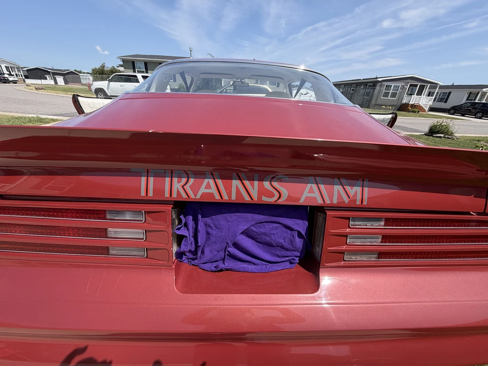 1976 Pontiac Firebird Trans Am 2nd Gen - Image 24 of 31