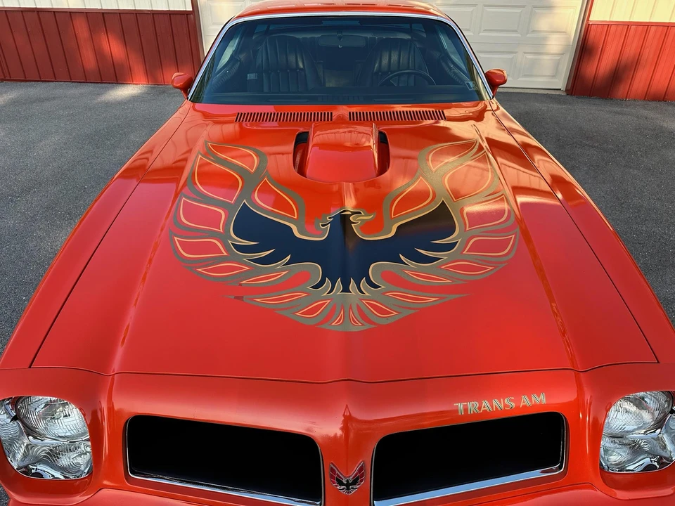 1976 Pontiac Firebird Trans Am 2nd Gen - Image 15 of 31