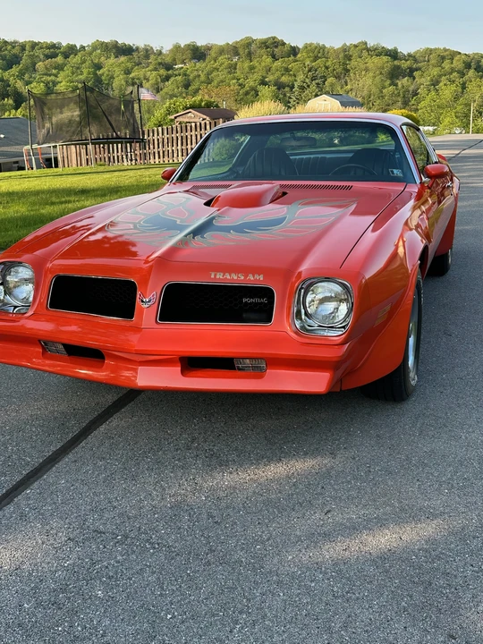1976 Pontiac Firebird Trans Am 2nd Gen - Image 2 of 31