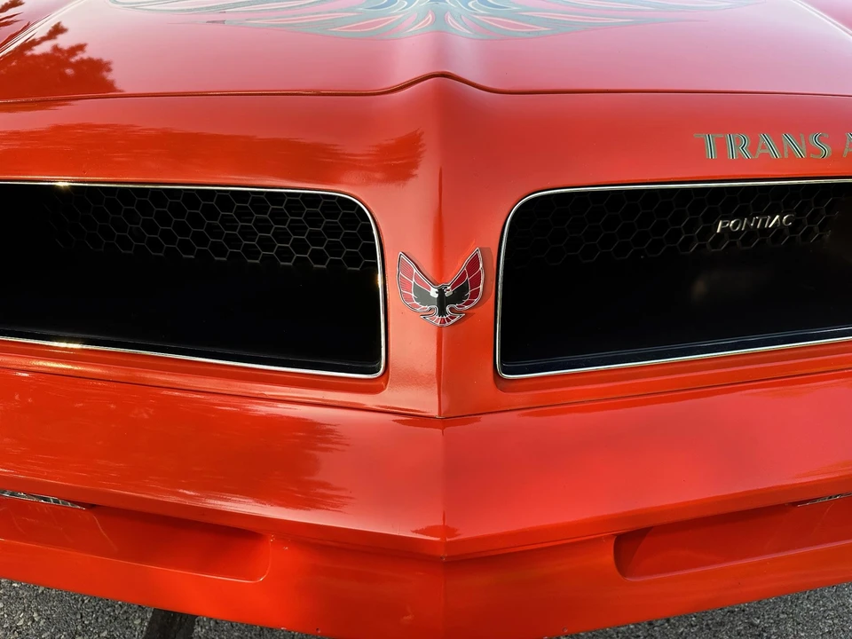 1976 Pontiac Firebird Trans Am 2nd Gen - Image 18 of 31