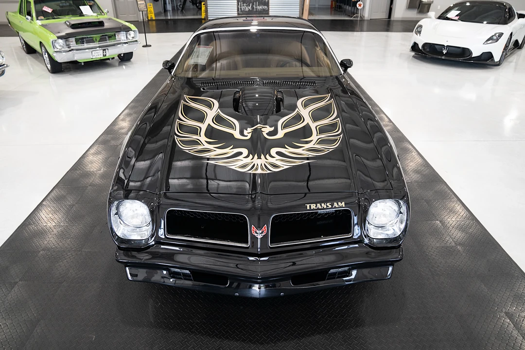 1976 Pontiac Firebird Trans Am 2nd Gen - Image 16 of 31