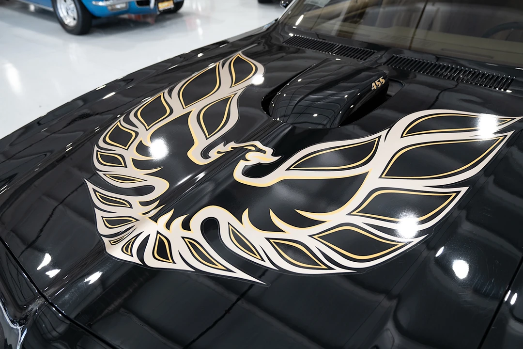 1976 Pontiac Firebird Trans Am 2nd Gen - Image 20 of 31