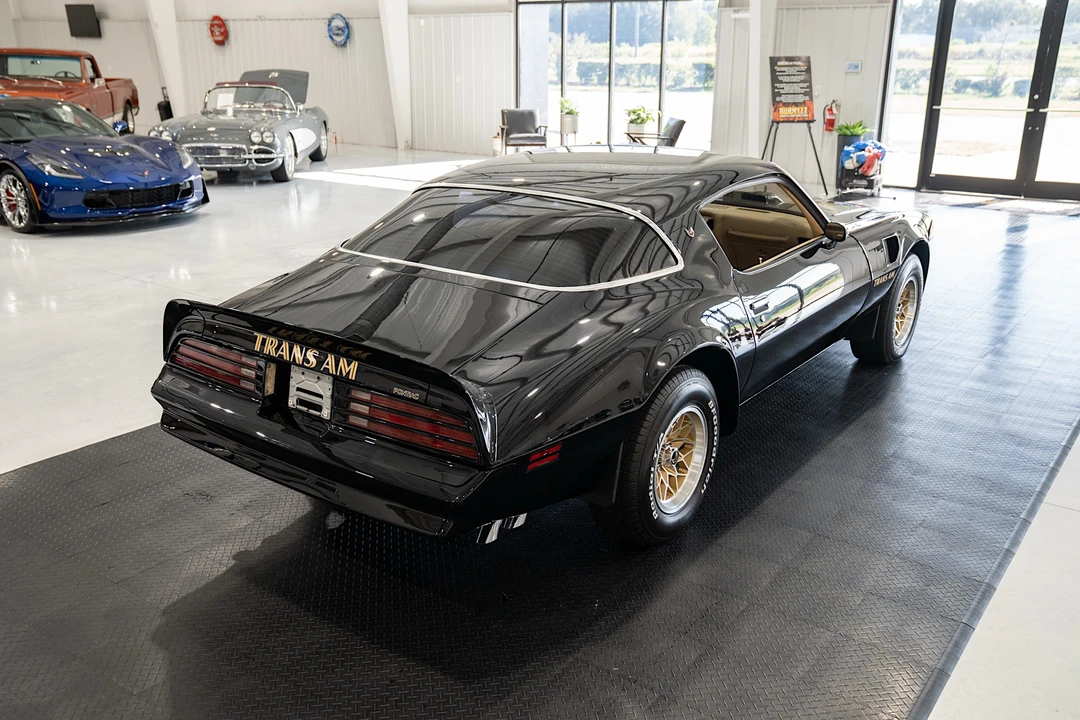 1976 Pontiac Firebird Trans Am 2nd Gen - Image 12 of 31