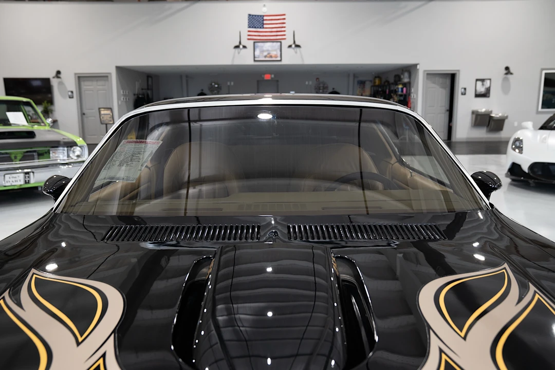 1976 Pontiac Firebird Trans Am 2nd Gen - Image 22 of 31