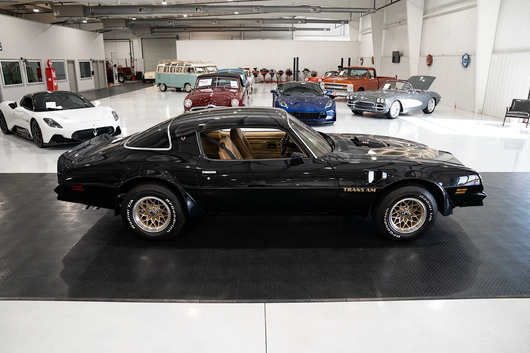 1976 Pontiac Firebird Trans Am 2nd Gen - Image 14 of 31