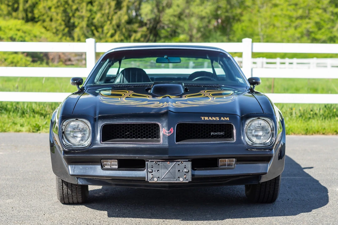 1976 Pontiac Firebird Trans Am 2nd Gen - Image 10 of 31