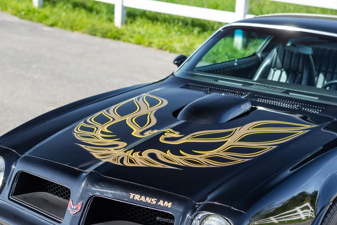 1976 Pontiac Firebird Trans Am 2nd Gen - Image 28 of 31