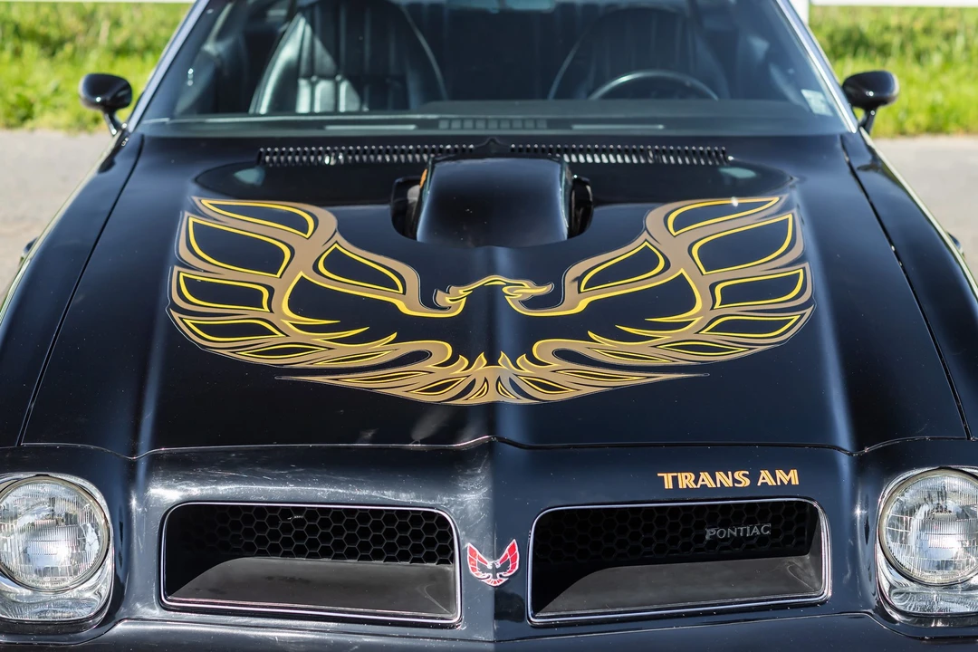 1976 Pontiac Firebird Trans Am 2nd Gen - Image 27 of 31