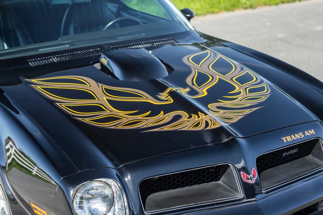 1976 Pontiac Firebird Trans Am 2nd Gen - Image 29 of 31
