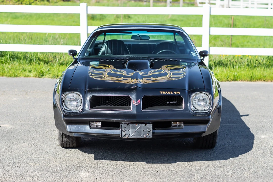 1976 Pontiac Firebird Trans Am 2nd Gen - Image 11 of 31