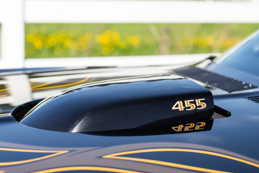 1976 Pontiac Firebird Trans Am 2nd Gen - Image 30 of 31