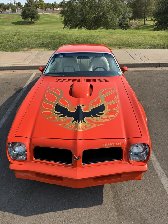 1976 Pontiac Firebird Trans Am 2nd Gen - Image 5 of 31