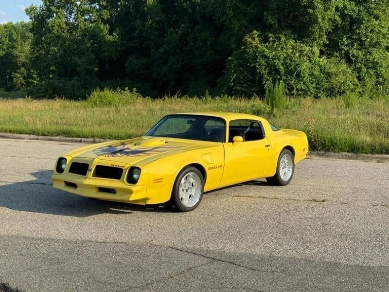 1976 Pontiac Firebird Trans Am 2nd Gen - Image 2 of 17